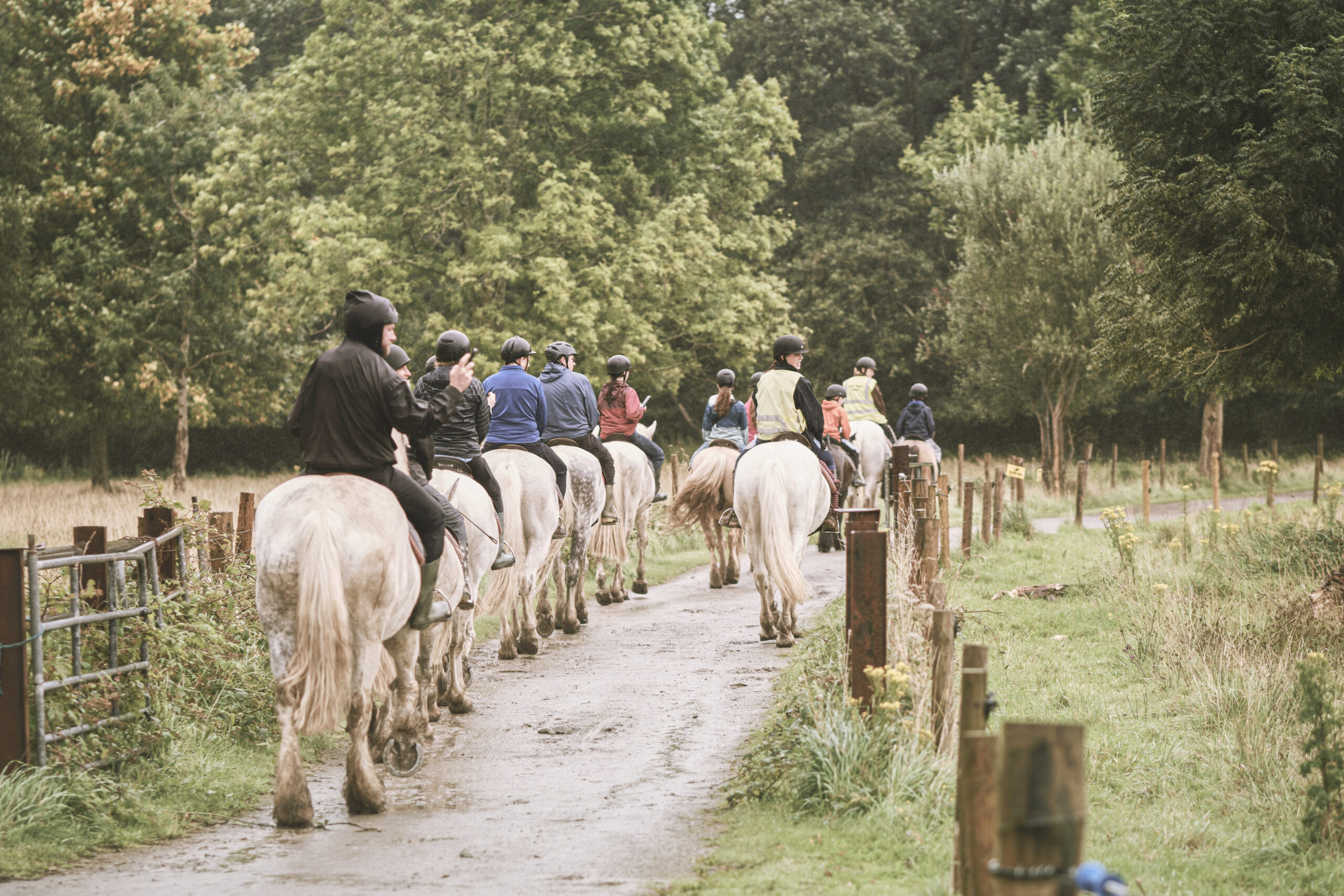 um-grupo-de-pessoas-montado-no-lombo-de-cavalos